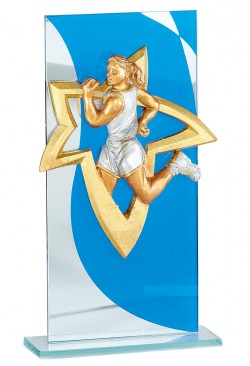 Trophée Personnalisé Applique 130-41-NJ