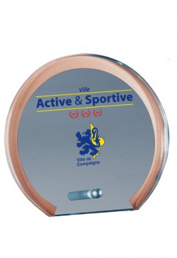 Trophée Verre Personnalisé 155-01-SU