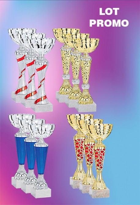 Lot de 12 Coupes : 2025-5