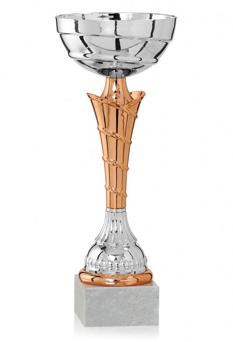 Coupe Économique Métal : 1901
