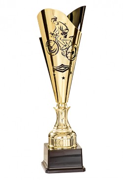 Coupe Laser Métal Cyclisme  : 35505