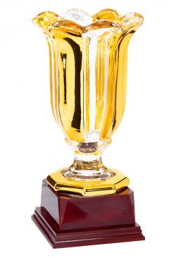 Coupe Prestige Verre : 7181