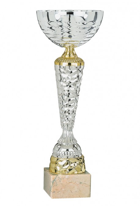 Coupe Économique Métal : 1861