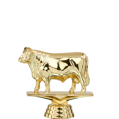 Trophée Personnalisé Figurine 138-02-D