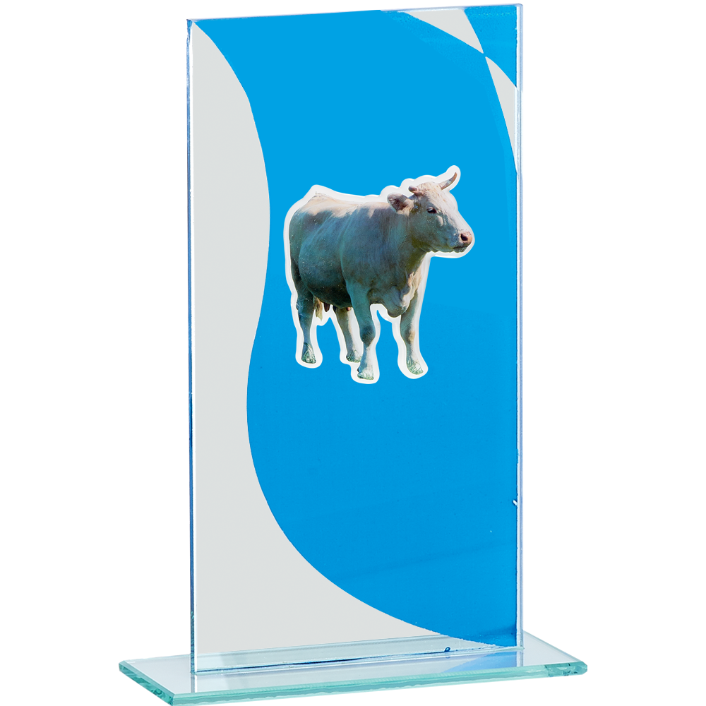 Trophée Personnalisé Figurine 142-21-RS