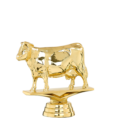 Figurine MD ( 80 disciplines disponible )