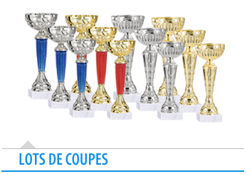 LOTS DE COUPES